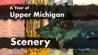 A Year of Upper Michigan Scenery - Dzika przyroda północy USA - Pełny dokument online