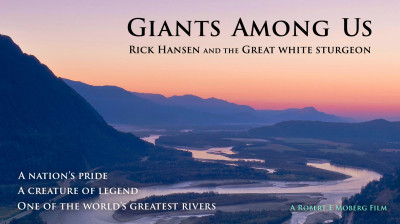 Giants Among Us: Saving the white sturgeon of the Fraser River - Documentary