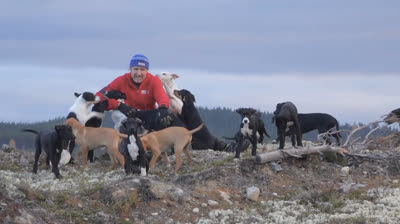 Dog Power – Historien om elitesledehunder og deres bånd til mennesker – Dokumentar