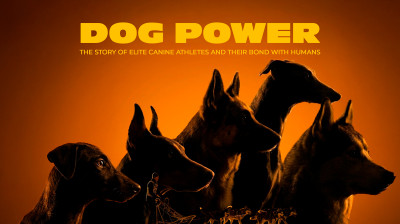 Dog Power – Historien om eliteslædehunde og deres bånd til mennesker – Dokumentar