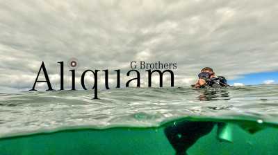 Aliquam – Lachlan Walmsley et la plongée sur la côte nord de Sydney – Documentaire