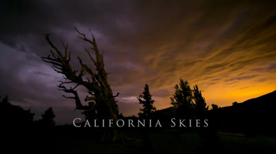 Official Trailer of 'California Skies'