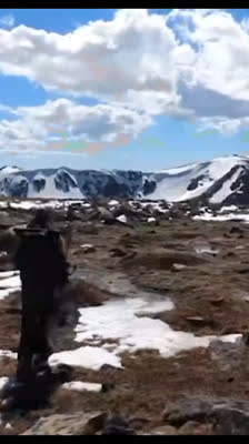 Factotum Project: Lucas Gibbons and his Factotum Project dream