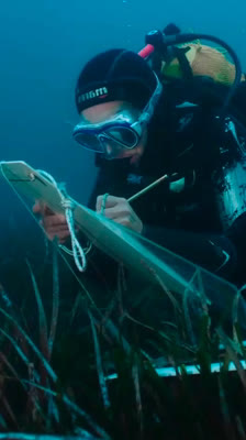 Jason deCaires Taylor och miljöpåverkan av dykning: UNDER [SI:]