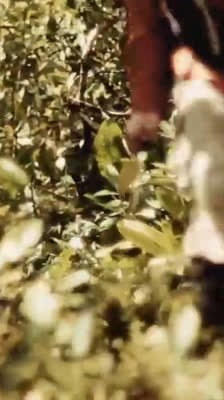 Leo Houlding och teamet vandrar i Venezuela: Autana