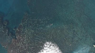 Punta Blanca crowns Melania Suárez and Moisés Domínguez in surf - Surfinges - Episode 41 - Season 7