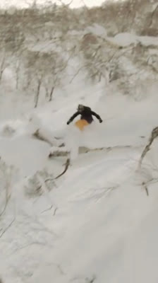 Debate on skiing challenges in Japan · Sunny: The Movie