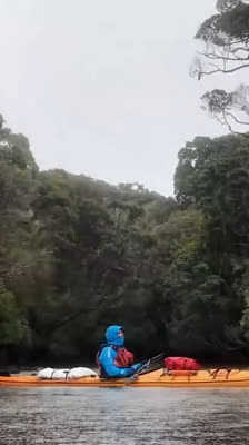 Becoming Part of the Ecosystem and Adapting to the Environment · In the Theatre of the Gogs