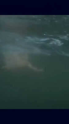 Ben Tuff berättar om simning för att övervinna utmaningar: Swim Tuff