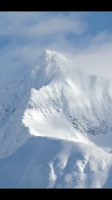 Cody Cirillo and Kellyn Wilson realize the journey is the true paradise: Made in Voyage