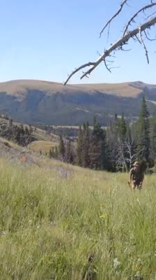 Vandring i Snowcrest Range med Alex Maier: Life on a Knife Edge