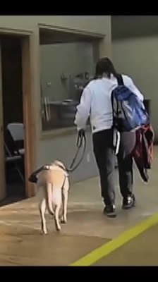 Catherine Bolton i sin første fektingstime uden syn: Touché: A Blind Fencer's Story