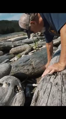 Kajakisten presenterar Akatsu-projektet och kollektivt ansvar: Decision