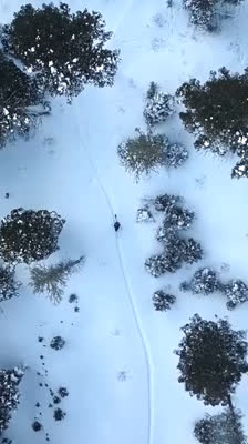 Alex Maier analyserar snötäcket i Montana: Learning to Splitboard the Northern Rockies