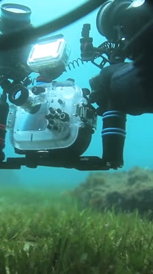 Lachlan Walmsley embraces diving as a lifestyle and a way to connect with nature: Aliquam