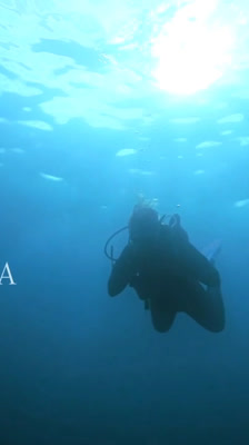 Lachlan Walmsley shares his love for diving with the next generation: Aliquam