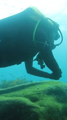 Lachlan Walmsley develops a personal connection with the ocean: Aliquam