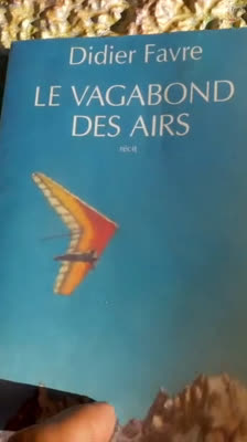 Bivackflygning över Alperna · I would Land in your Backyard!