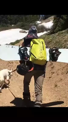 Lance Daly tar sig an Skywalkers högsta hopp, prinsessan Leia · Before It Melts