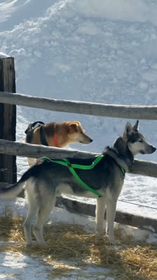 Abby Jacques Embraces Discomfort and Risk to Venture · Building a Life of Meaning