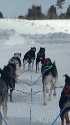 Abby Jacques and Self-Discovery Through Risk · Building a Life of Meaning