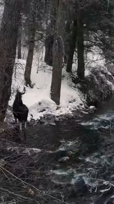 Simon Larouche analyserar problemet med storviltsjakt · Snowride: Avsnitt 1