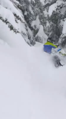 Utforskning av ett intensivt trädområde · Snowride: Avsnitt 2