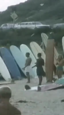 Gidget och surfkulturens genombrott: A Life Outside