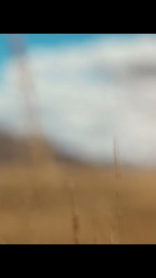 Angie Davis och jakten på unika ögonblick i livet och surfen · Double Barrel