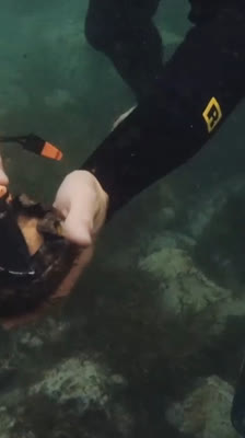 Dustin Hollick och Rhian Slapp provar abalone-dykning för första gången · The Lap of Tasmania