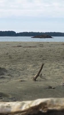 Sam Danniels reflekterar över vikten av att leva med passion och ta vara på livets utmaningar · Beyond the Break