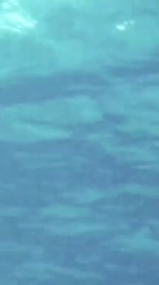 Seeing people and waves as one flowing entity: The Still Point