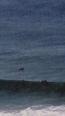 Remembering the importance of total respect for the ocean: The Still Point