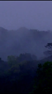 Introducción a la búsqueda de los indios tucanos: 5 Elements