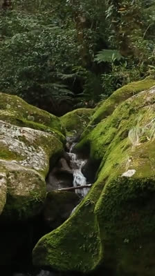 Utforskning och naturvård på Mount Namuli med Majka Burhardt · Namuli