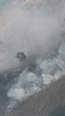 Biodiversitet och resursanvändning på Mount Namuli med Majka Burhardt · Namuli