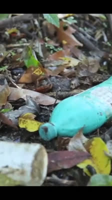 Igor D'India analyserar föroreningen av Monkey River och dess påverkan på lokalsamhället · The Raftmakers: Avsnitt 2