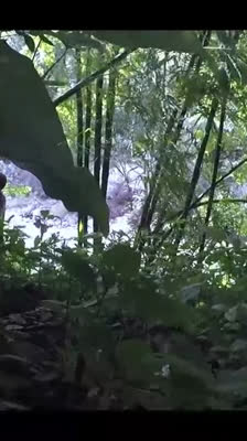 Igor D'India upptäcker Yumuri-floden i Kuba och beslutar sig för att utforska den · The Raftmakers: Avsnitt 5