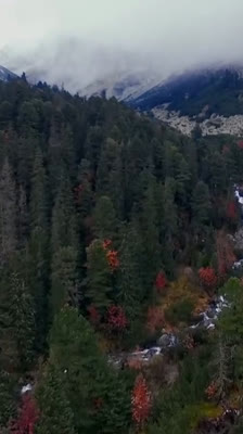 Besøg hos Lepko i 1963: Freedom Under Load