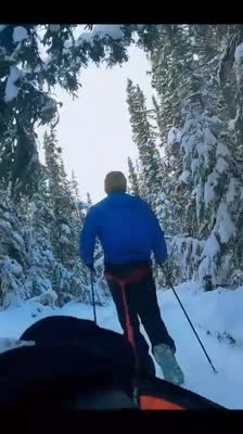 Athleten bei der Yukon Arctic Ultra begegnen Halluzinationen und mentalen Herausforderungen während des Rennens · 1000 km of Chaos