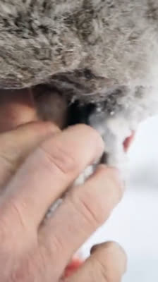 Yves Chaloin, der Radfahrer, der nicht als Abenteurer bezeichnet werden möchte · A Siberian Adventure