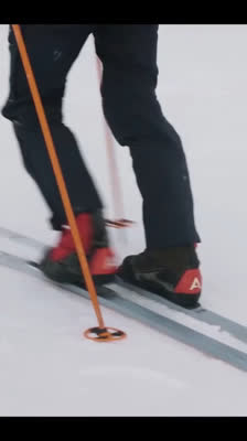 Den Südpol erreichen und die Expedition vollenden: Mike, Marta und der finale Erfolg: Polheim