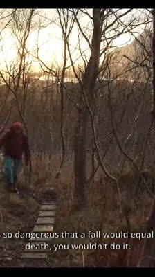 Risikosuche und persönliches Wachstum · Relative Risk