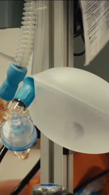 Stella Maris: August og holdet kæmper om podiet