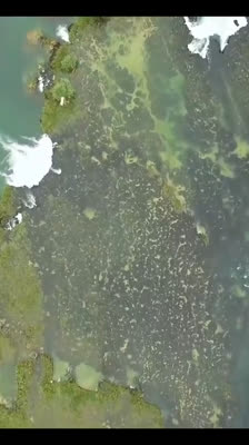 The Una River hosts a wide variety of fish species, with 38 documented species - Una – The One