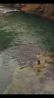 Beskyttelsen af Una-floden: en del af en global kamp for at redde verdens floder - Una – The One