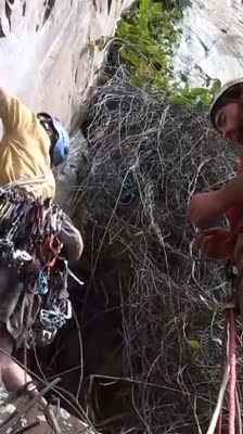 Solidaridad en la escalada con Nicolas Favresse, Sean Villanueva y Stéphane Hanssens · Wolfgang Climbing Team
