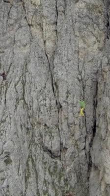 Highline y escalada en las Dolomitas con Armin Holzer · Saslonch Suite