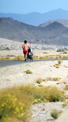 Charity running challenge: 2,700 km for penguin conservation with Dave Chamberlain · The Penguin Runner