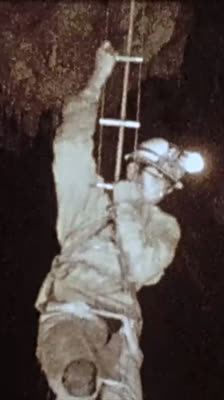 Anticipación e incertidumbre antes de la inmersión con Paul Diffley: The Ario Dream